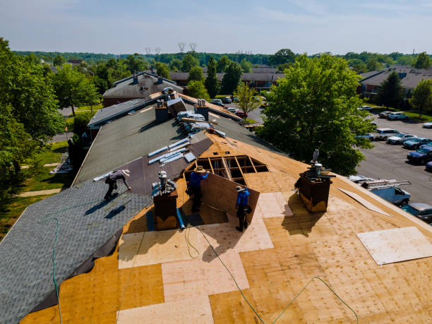 Best Roof Gutter Cleaning  in St Peter, WI
