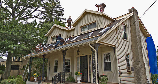 Best Roof Restoration Services  in St Peter, WI